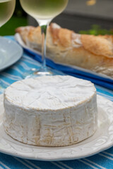 French soft Camembert cheese, original Camembert de Normandie, close up with white mold