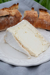 Delice de Bourgogne French cow's milk cheese from Burgundy region of France close up