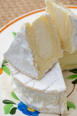 French soft Camembert cheese, original Camembert de Normandie, close up with white mold