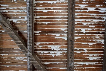 Details of lath and plaster detail from behind