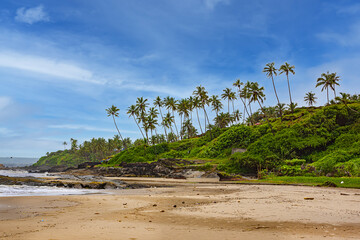 Nature of Vagator - wonderful red cliffs, palm trees, admirable Arabian Sea and golden sand. Bardez Taluka, Goa.