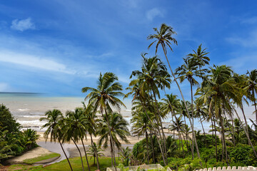 Fototapeta premium Nature of Vagator - wonderful red cliffs, palm trees, admirable Arabian Sea and golden sand. Bardez Taluka, Goa.