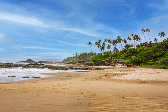 Nature of Vagator - wonderful red cliffs, palm trees, admirable Arabian Sea and golden sand. Bardez Taluka, Goa.