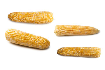 Yellow sweet corn isolated on white background. Copyspace.