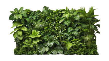green garden walls are grown in a vertical and vertical format isolated on transparent background 