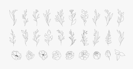 Set of different flowers and brunch from flat editable stroke. Luxury line floral collection for wedding invitation art, design template of save the date card. Botanical vector illustration