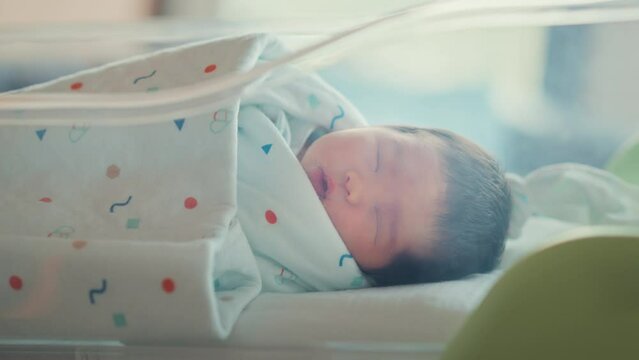 Cute little Asian newborn baby lying in crib in a maternity hospital, Healthcare, Pregnancy and motherhood concept