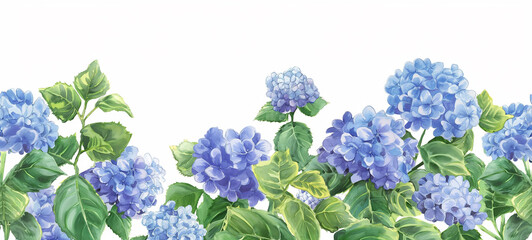 Seamless Horizontal Watercolor hydrangea isolated on background
