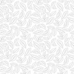 coffee leaf background. Abstract coffee leaves background. leaf pattern vintage. leaves pattern wallpaper.