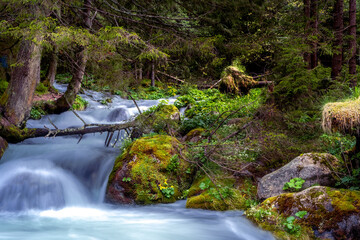 Tatry , Słowacja, Polska , góry © Daniel Folek