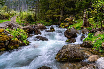 Tatry , Słowacja, Polska , góry © Daniel Folek