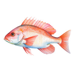 Obraz premium Snapper fish watercolor painting isolated on white background