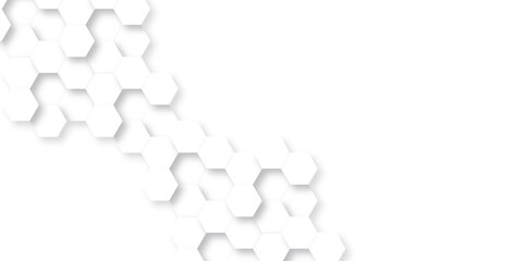 Abstract technology hexagonal background. Illustration of a white background with hexagonal template. White hexagon honeycombs background. Hexa gray Abstract Geometric Wide Banner Design.