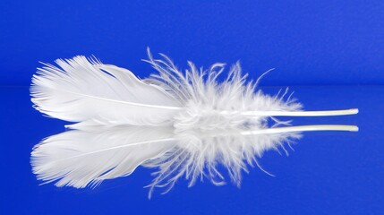  A tight shot of a white feather against a blue backdrop, featuring reflections of the feather in both the image and its mirror-like surface