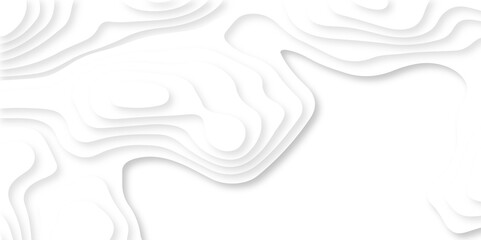 	
Luxury abstract lines Modern white carve wave line abstract luxury 3d papercut background. vector minimal topography map light element shadow landscape wave element curve graphic papercut design.