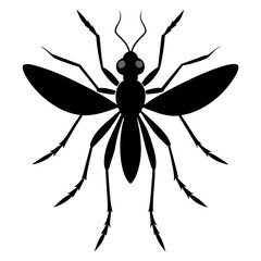 spider on a white background