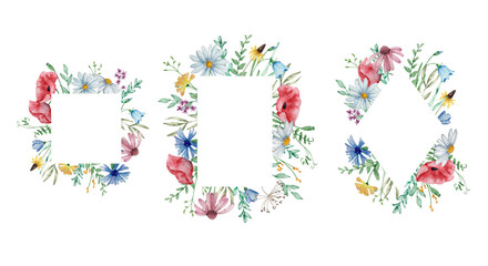 Watercolor frames set with wildflowers, summer floral