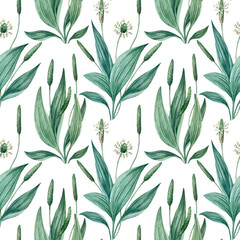 Seamless watercolor floral pattern with green leaves and plantain flowers.