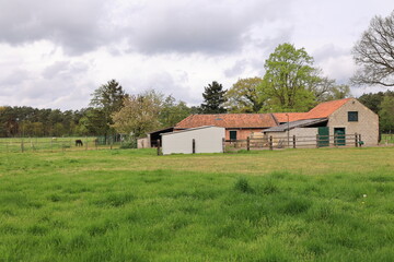 Blick auf die Naturlandschaft bei Zutendaal in der Belgischen Region Flandern