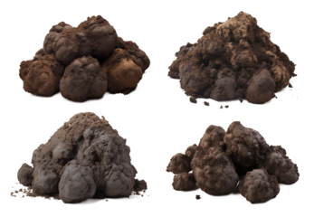 Animal Dung Set Isolated on Transparent Background
