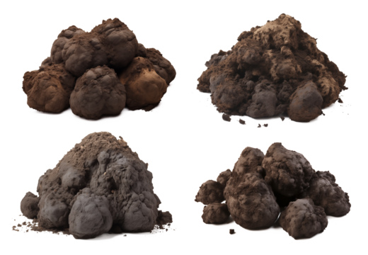 Animal Dung Set Isolated on Transparent Background

