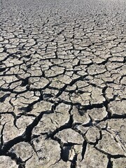 Rissiger, trockener Boden mit deutlichen Trockenheitsrissen, die sich über die gesamte Oberfläche erstrecken.