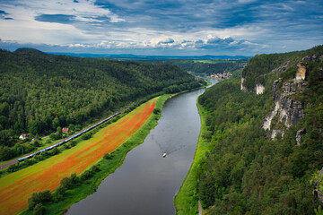 Elbe river in the Saxony, overlooking the red poppy flower fields