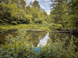 The small and wild Grabia river in central Poland.