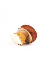 Bay bolete. Edible mushrooms (Boletus badius) isolated on white background with clipping path. Package design element. Wild forest mushrooms
