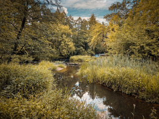 The small and wild Grabia river in central Poland.
