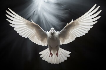 Graceful white dove with spread wings soars in mid-air, illuminated against a dark backdrop
