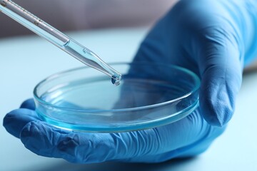Doctor dripping liquid from pipette into petri dish at light table, closeup. Laboratory analysis