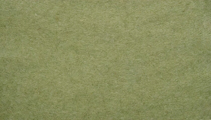 Fototapeta premium Dusty, grainy, rough, earthy handmade, green paper texture with visible fibers, for minimalistic art or backgrounds.