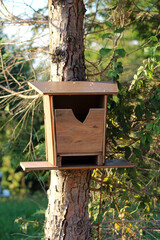 Homemade improvised outside wooden bird house with large opening hanging from side of narrow tree surrounded with dense branches on warm sunny summer day