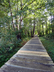 A trip to the Guestrow Nature and Environmental Park (Germany)