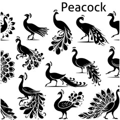 Set of Peacocks