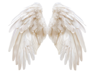 Pair of White Angel Wings with Detailed Feather Texture