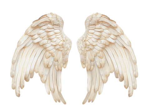 Realistic Beige Angel Wings with Detailed Feather Texture