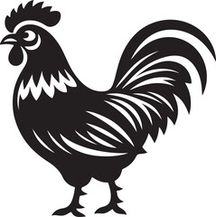 rooster isolated on white background