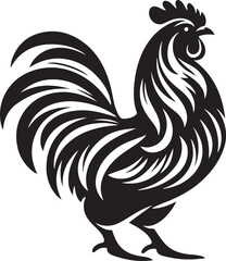 rooster isolated on white background