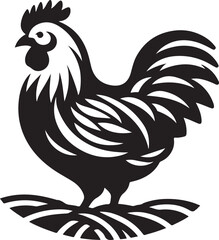 rooster illustration