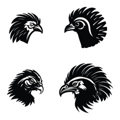 black and white rooster