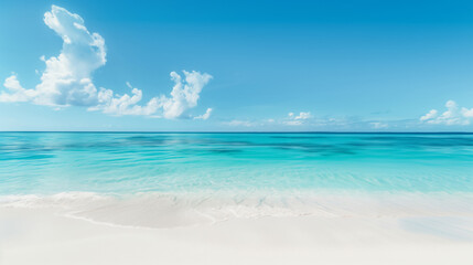 Fototapeta premium Beautiful landscape of the sandy beach and crystal clear blue ocean