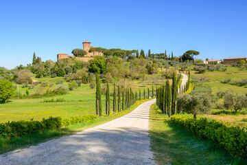 Obraz premium Tuscan countryside in the Val d'Orcia during spring day, province of Siena, Italy