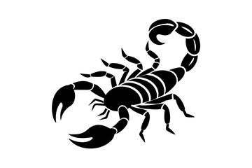 scorpion animal silhouette vector illustration