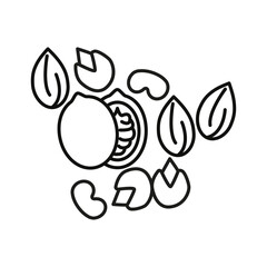 Nutritious Dry Fruit Icon Ideal for Healthy Eating and Snack Illustrations