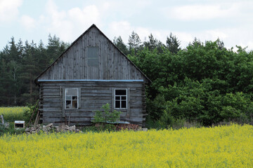 Obraz premium Old wooden village house. Belarusian landscape.