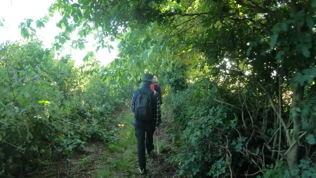 Groupe de randonneurs sur un sentier en Bretagne - 4K