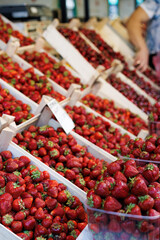 A lot of fresh strawberries