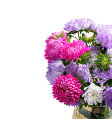 Bouquet of aster flowers in vase isolated on white background